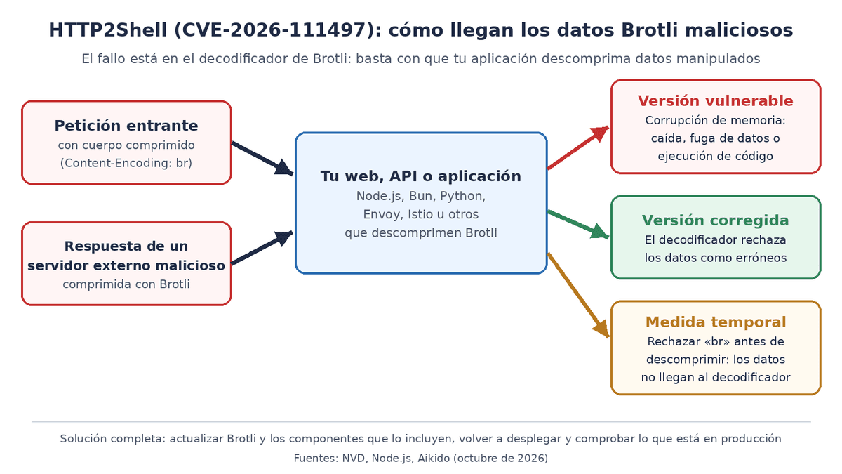 Esquema de HTTP2Shell: una petición entrante o una respuesta de un servidor malicioso con datos comprimidos en Brotli llega a una web, API o aplicación con Node.js, Bun, Python, Envoy o Istio; con una versión vulnerable se corrompe la memoria, con una versión corregida los datos se rechazan y, como medida temporal, se puede rechazar «br» antes de descomprimir